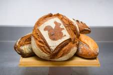 Mahefasoa PINEAU - LAED Compagnie