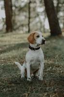 Alizé LEGRAND - ALY PHOTOGRAPHIE