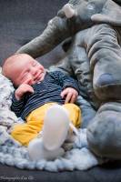 Roland ADOLPHE - Photographie d'un clic