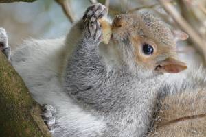 Jacky DUVERGER - Mégapix'Air