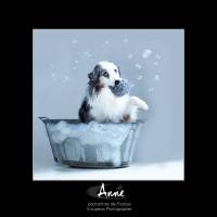 Anne WURTHLIN - PHOTO GRAPH